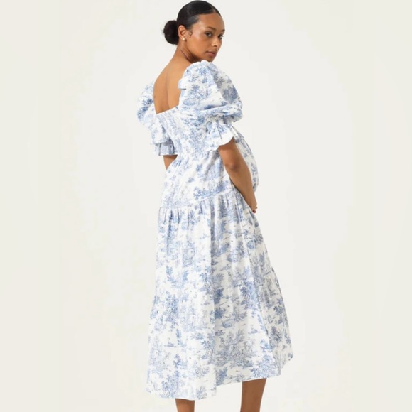 NOTHING FITS BUT Maternity Dress, Blue Toile, XXL - Picture 1 of 4